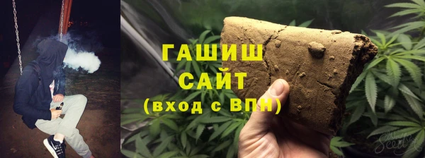 a pvp Бородино