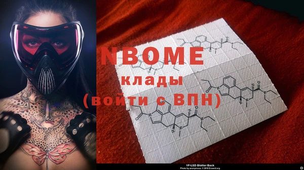 трава Новозыбков