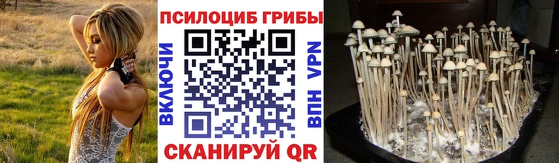 Галлюциногенные грибы мухоморы  где купить наркоту  Красавино 